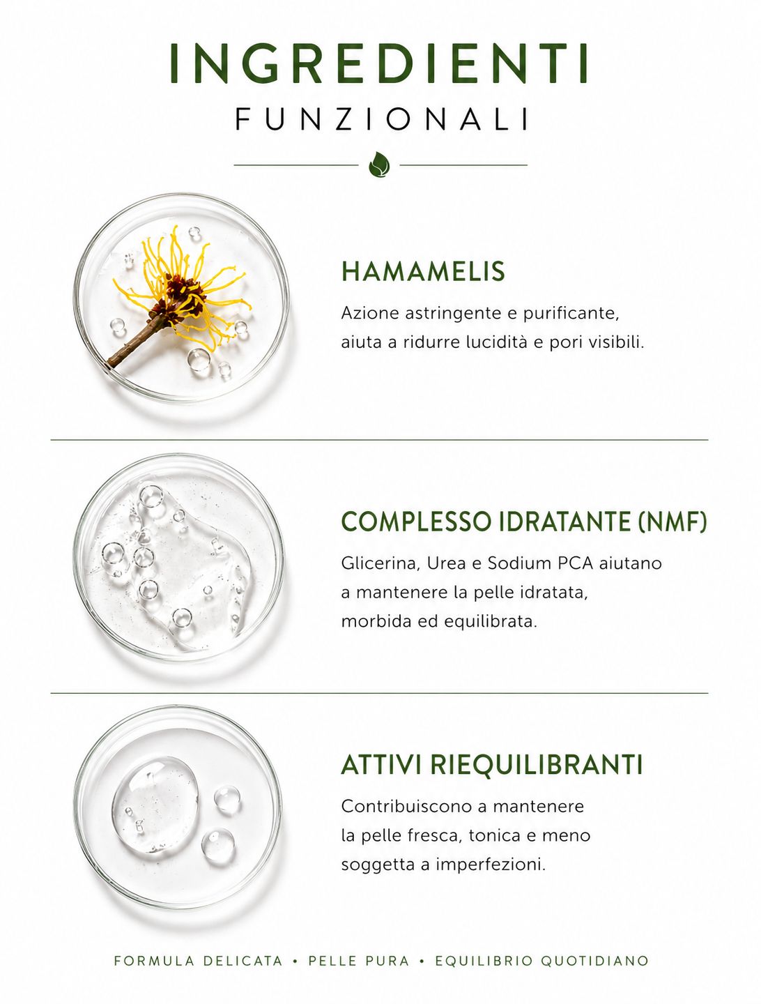 Tonico Sebo equilibrante HAZEL - Purificante e Riequilibrante